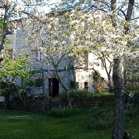 La Fonte B&B Pietralunga  Εξωτερικό φωτογραφία