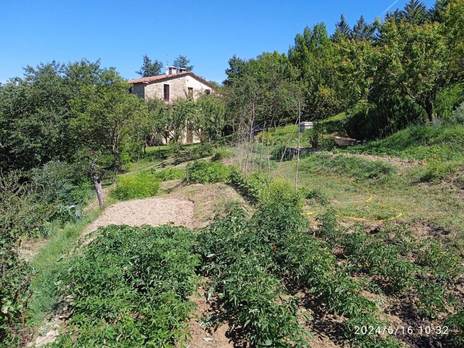 La Fonte B&B Pietralunga  Εξωτερικό φωτογραφία