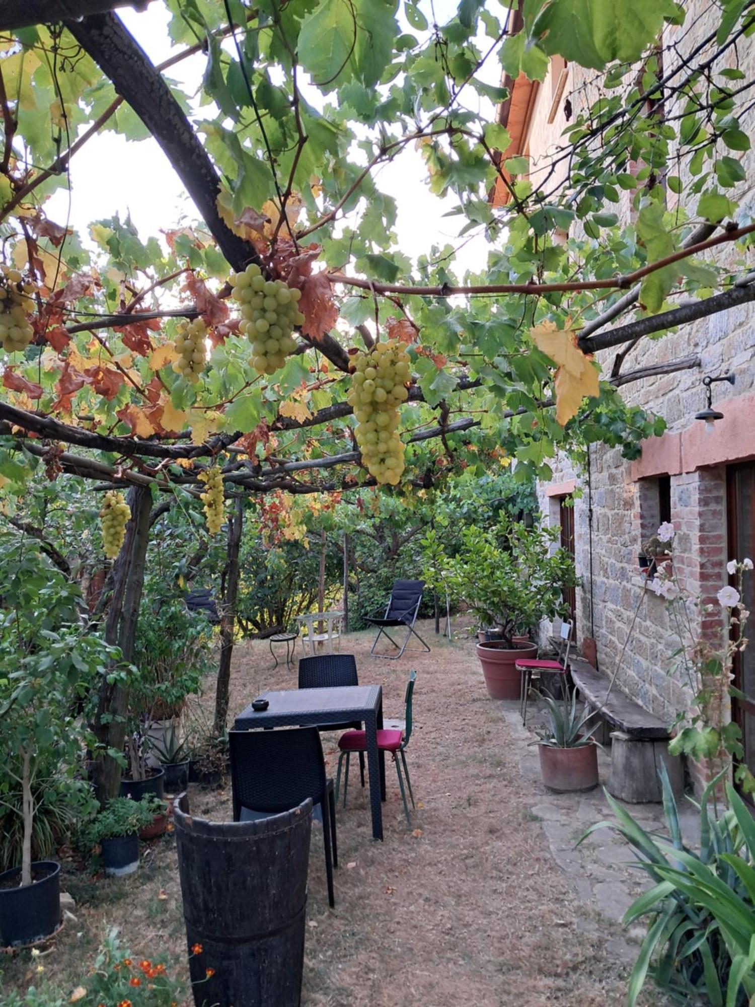La Fonte B&B Pietralunga  Εξωτερικό φωτογραφία