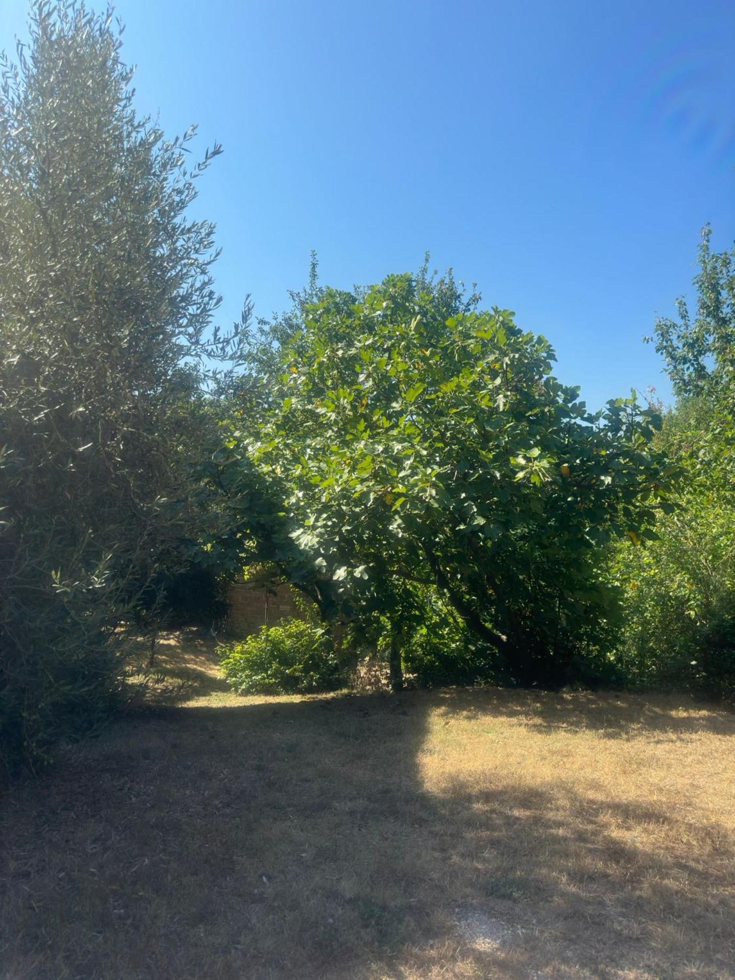 La Fonte B&B Pietralunga  Εξωτερικό φωτογραφία