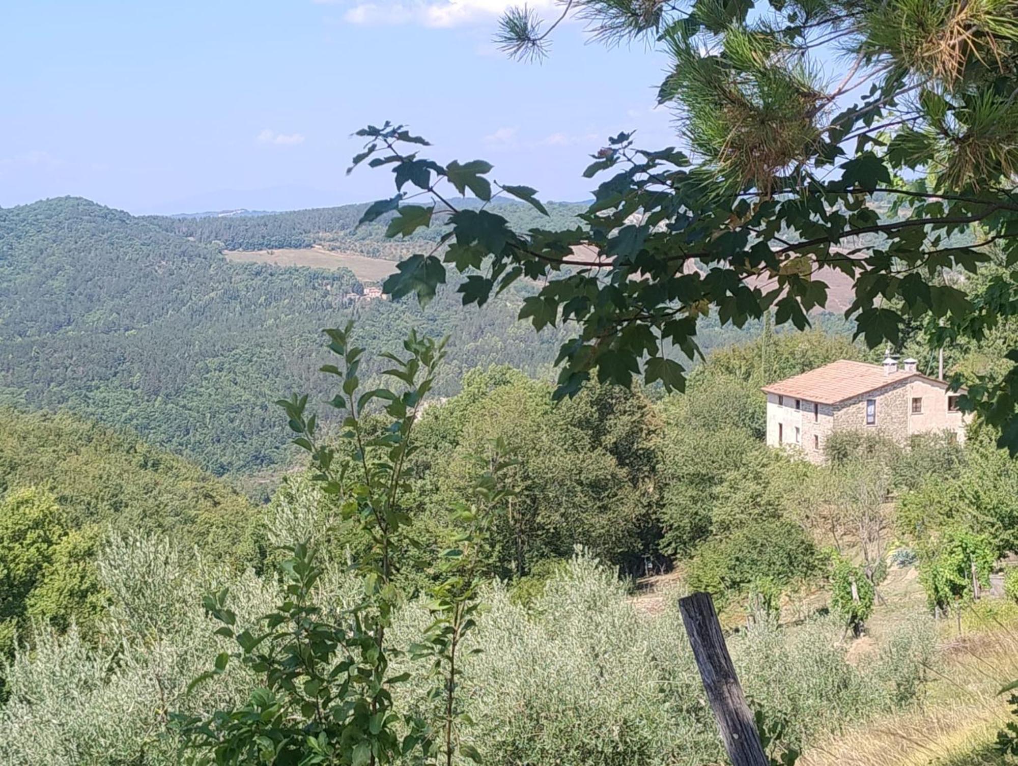 La Fonte B&B Pietralunga  Εξωτερικό φωτογραφία