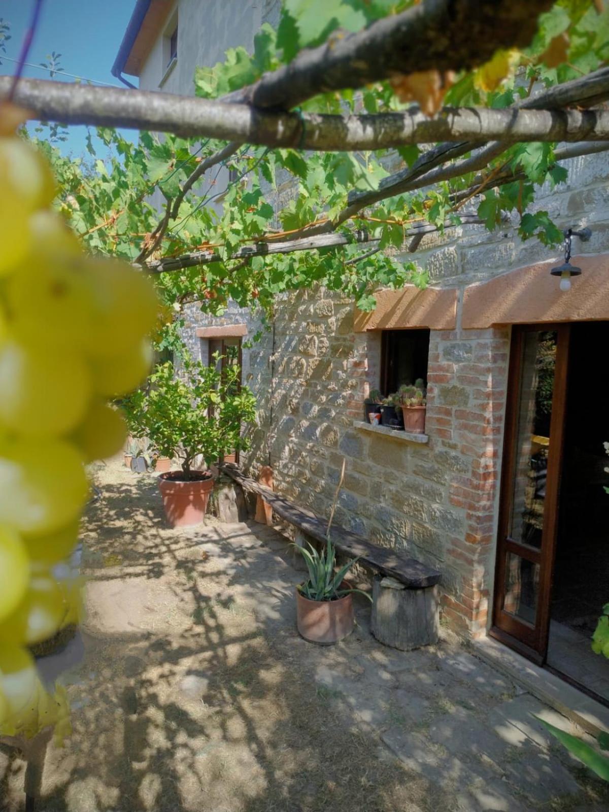 La Fonte B&B Pietralunga  Εξωτερικό φωτογραφία