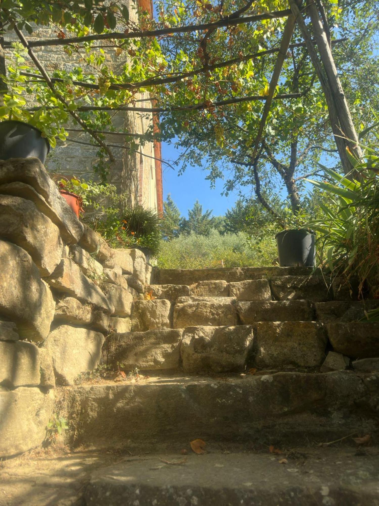 La Fonte B&B Pietralunga  Εξωτερικό φωτογραφία