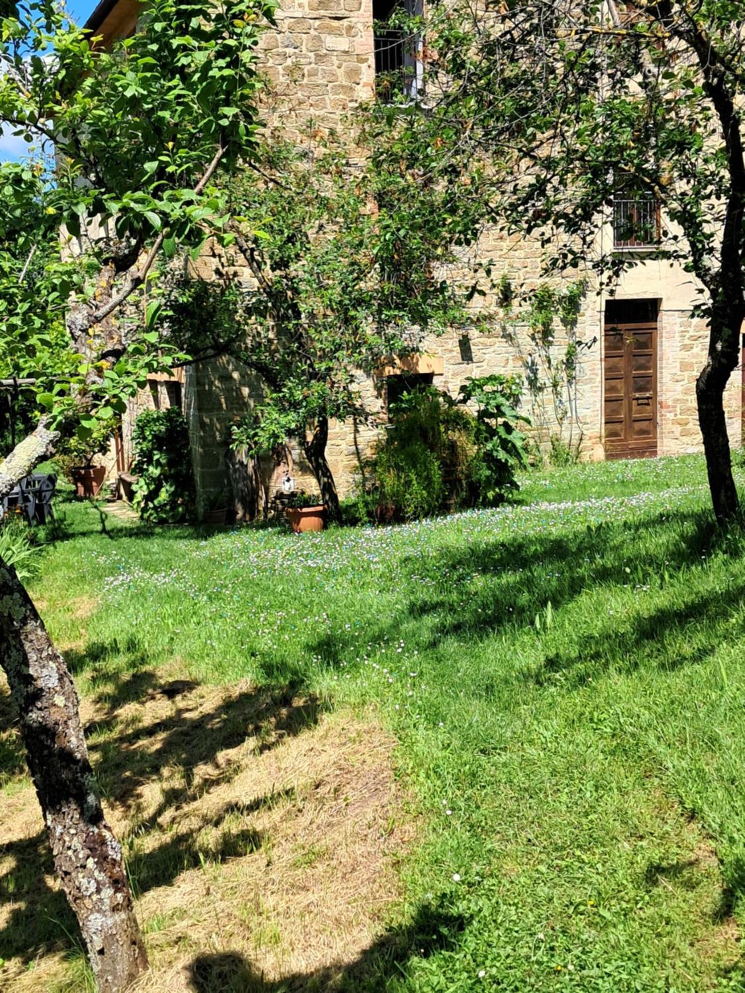 La Fonte B&B Pietralunga  Εξωτερικό φωτογραφία